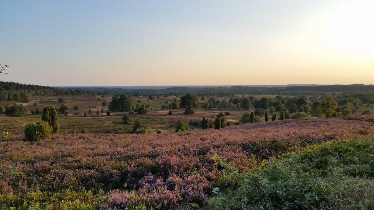 Ferienwohnung Parkblick Soltau Dış mekan fotoğraf